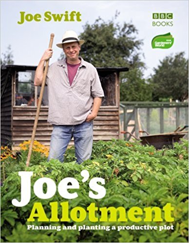 51AjaCX0bhL._SX386_BO1,204,203,200_